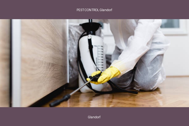 PEST CONTROL Glandorf